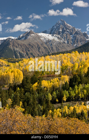 Pascoli e boschi di pioppi in autunno, guardando verso Uncompaghre deserto intorno al picco Uncompaghre, San Juan Mountains, Co. Foto Stock