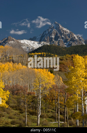 Pascoli e boschi di pioppi in autunno, guardando verso Uncompaghre deserto intorno al picco Uncompaghre, San Juan Mountains, Co. Foto Stock