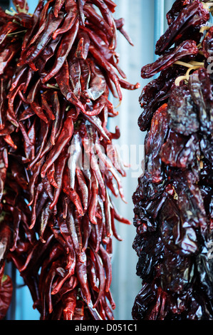 Secchi Peperoncino Rosso Foto Stock