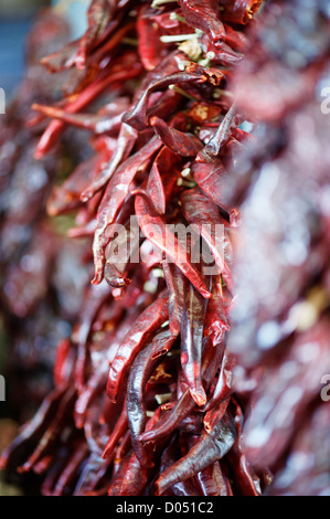 Secchi Peperoncino Rosso Foto Stock