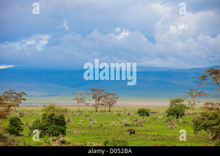 Paesaggio del cratere di Ngorongoro in Tanzania Foto Stock