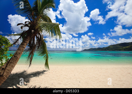 Splendida spiaggia alle Seychelles Foto Stock