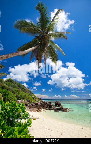 Splendida spiaggia alle Seychelles Foto Stock