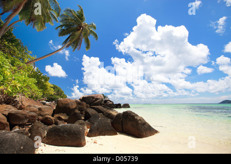 Splendida spiaggia alle Seychelles Foto Stock