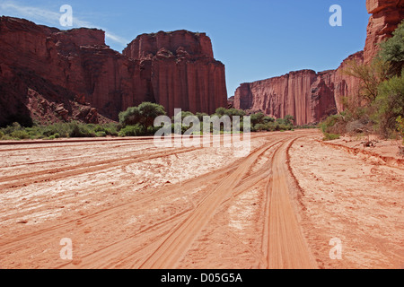 Asciugare riverbed e ripide scogliere di arenaria nella Talampaya National Park, La Rioja, Argentina Foto Stock