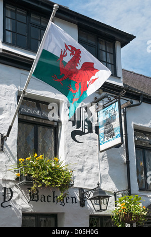 Il Galles, Caernarfon, Black Boy Inn circa 1522, inn cartelli indicano black boy su un lato nero bouy su opposti, bandiera Gallese Foto Stock