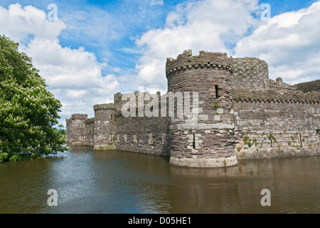 Il Galles, Isola di Anglesey, Beaumaris Castle, la costruzione è iniziata nel 1295, Fossato Foto Stock