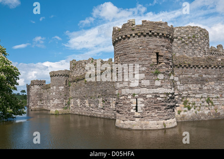 Il Galles, Isola di Anglesey, Beaumaris Castle, la costruzione è iniziata nel 1295, Fossato Foto Stock