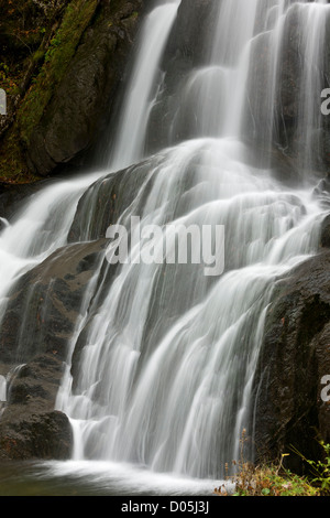 Moss Glen cade in autunno, Vermont, New England, STATI UNITI D'AMERICA Foto Stock