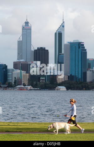 Una donna che cammina un Labrador Cani percorso verso il basso accanto al fiume con la città sullo sfondo. Foto Stock