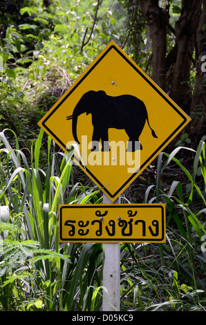 Segno di traffico la lettura di diffidare di elefanti nella provincia di Chiangmai,Thailandia Foto Stock