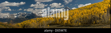 Panorama di Aspen foreste in autunno, Uncompaghre deserto intorno al picco Uncompaghre, San Juan Mountains, Colorado Foto Stock