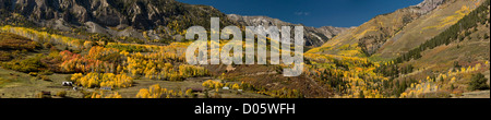 Aspen e le foreste di abete rosso in autunno, guardando verso il Monte Sneffels deserto, al di sopra di Telluride, San Juan Mountains, Colorado Foto Stock