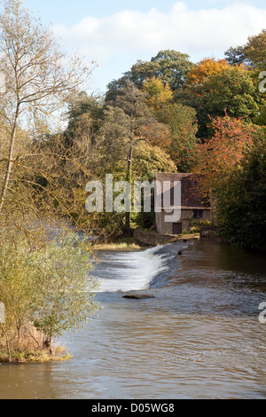 Il "Ferro di Cavallo Weir' sul fiume teme sul lato sud di Ludlow Shropshire, Regno Unito Foto Stock