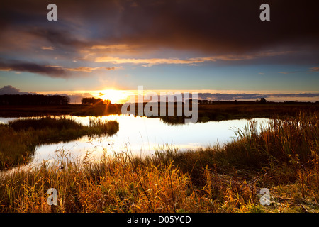 Caldo sole al tramonto sul lago selvaggio vicino a Leekstermeer, Drenthe Foto Stock
