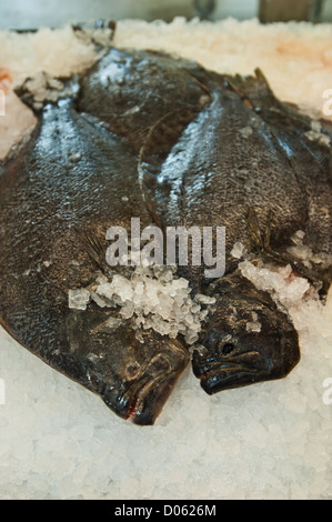 Tutta la passera pianuzza sul ghiaccio nel mercato di frutti di mare, Rockport Texas Foto Stock