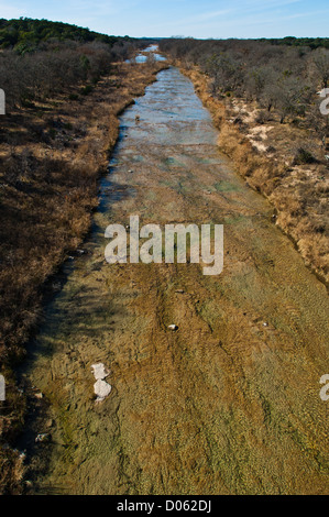 La San Saba fiume vicino a Brady, Texas Foto Stock