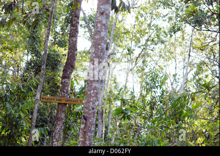 Santuario della fauna selvatica firmare dal fiume Kinabatangan, Sabah Borneo Foto Stock