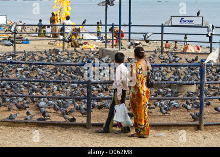 Piccioni sulla Chowpatty Beach in Mumbai, India Foto Stock