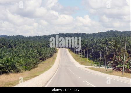 La strada attraverso la palma da olio di piantagioni, Sabah Borneo Foto Stock