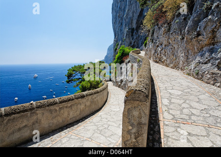 Pareti di avvolgimento di una scenografica Foothpath, Via Krupp di Capri, Campania, Italia Foto Stock