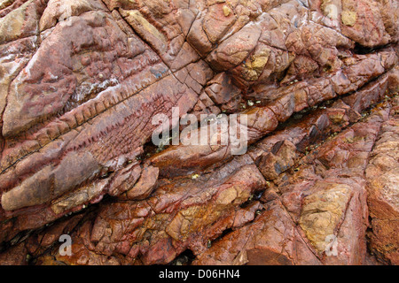 Le rocce sedimentarie a Hong Kong il Parco Geo Foto Stock