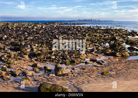 Rocce esposte a bassa marea sulla spiaggia al di sotto del castello di Bamborough. Northumberland Foto Stock