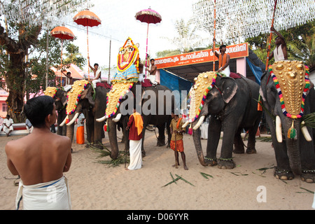 Formazione di gold-caparisoned elefanti a Thrissur Pooram. Sono Poorams tempio indù-centrato sagre popolari in Kerala. Foto Stock