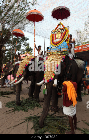 Formazione di gold-caparisoned elefanti a Thrissur Pooram. Sono Poorams tempio indù-centrato sagre popolari in Kerala. Foto Stock