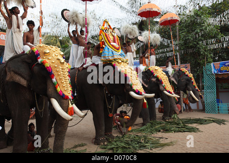 Formazione di gold-caparisoned elefanti a Thrissur Pooram. Sono Poorams tempio indù-centrato sagre popolari in Kerala. Foto Stock