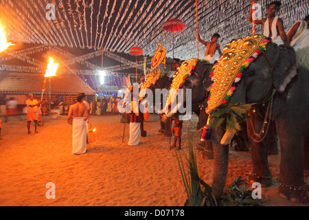 Formazione di gold-caparisoned elefanti a Thrissur Pooram. Sono Poorams tempio indù-centrato sagre popolari in Kerala. Foto Stock