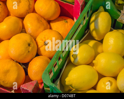 Ceste di arance e di limoni in vendita in un mercato degli agricoltori in Scozia. Foto Stock