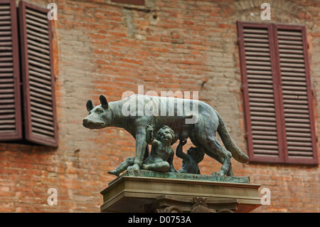 Siena, Piazza Tolomei, Romolo e Remo statua, Piazza Tolomei, Toscana, Sito Patrimonio Mondiale dell'UNESCO, Italia, Europa Foto Stock