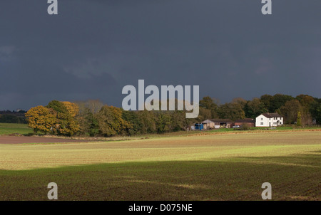 White farm house nel paesaggio rurale, Norfolk, Inghilterra Foto Stock