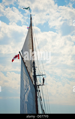 Un membro di equipaggio a bordo del tall ship 'Pacific grazia' passeggiate nelle manovre durante una goletta barca a vela gara a Port Townsend, WA. Foto Stock