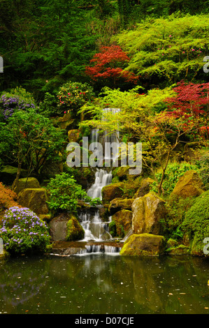 La molla, Portland Giardino Giapponese, Portland, Oregon, Stati Uniti d'America Foto Stock