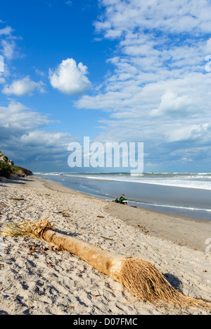 Giovani surfisti in appoggio sulla spiaggia di Giove, Treasure Coast, Florida, Stati Uniti d'America Foto Stock