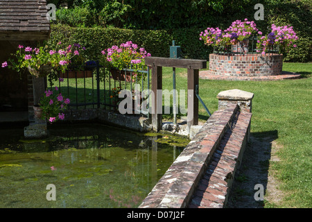 Fioritura VILLAGGIO DI SAINT-EMAN FONTE DI LOIR FIUME EURE-ET-LOIR (28) FRANCIA Foto Stock