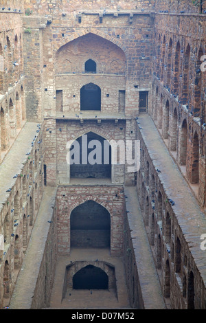 Agrasen ki Baoli (stepwell) nel centro di Delhi, India Foto Stock