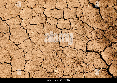 Tan incrinato sfondo di massa con spazio per il testo Foto Stock
