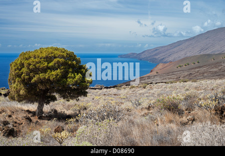 Vista da ovest Tacoron, El Hierro, Isole Canarie, verso El Julan, un gigante di crollo embayment ricoperta di lava basaltica fluisce Foto Stock