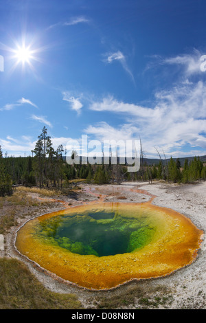 Gloria di mattina piscina, Upper Geyser Basin, il Parco Nazionale di Yellowstone, Wyoming USA Foto Stock