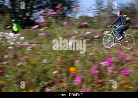 I ciclisti in fioritura anteriore giacente sul campo incolto "LOIRE VELO' itinerario in bicicletta GRAND MOULIN VICINO A TOURS Indre-et-Loire (37) FRANCIA Foto Stock