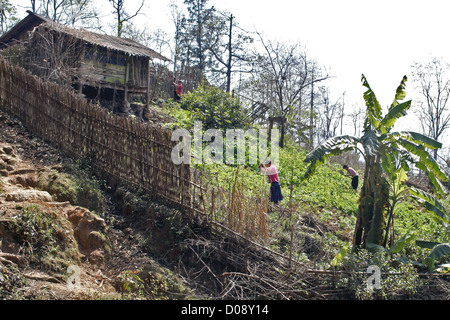 HMONG DEN BLACK HMONG LE DONNE CHE LAVORANO NEI CAMPI IN MONTAGNA VICINO A SAPA VIETNAM ASIA Foto Stock