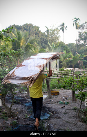 Foglie di riso essiccazione nel delta del Mekong VIETNAM ASIA Foto Stock