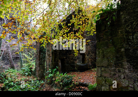 I resti della vecchia guerra fabbrica di polvere da sparo sul Fiume North Esk vicino a Roslin, Midlothian, Scozia. Foto Stock