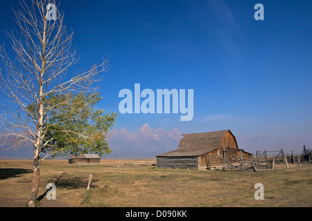 Granaio, John & Bartha Moulton Homestead, Mormon fila quartiere storico, il Parco Nazionale del Grand Teton, Wyoming USA Foto Stock