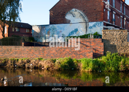 Immagine di un pesce dipinta sulla fiancata di un muro di casa lungo il lato del canale di Nottingham, Nottingham, Inghilterra, Regno Unito, Foto Stock