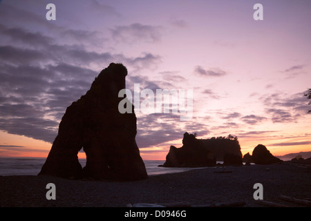 WA06672-00...WASHINGTON - tramonto dietro un isola offshore da Ruby Beach sulla costa del Pacifico nel Parco Nazionale di Olympic. Foto Stock