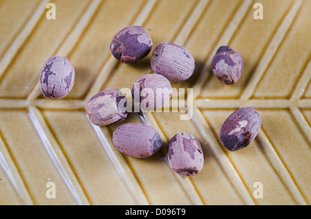 Rosso semi di loto sulla piastra marrone Foto Stock